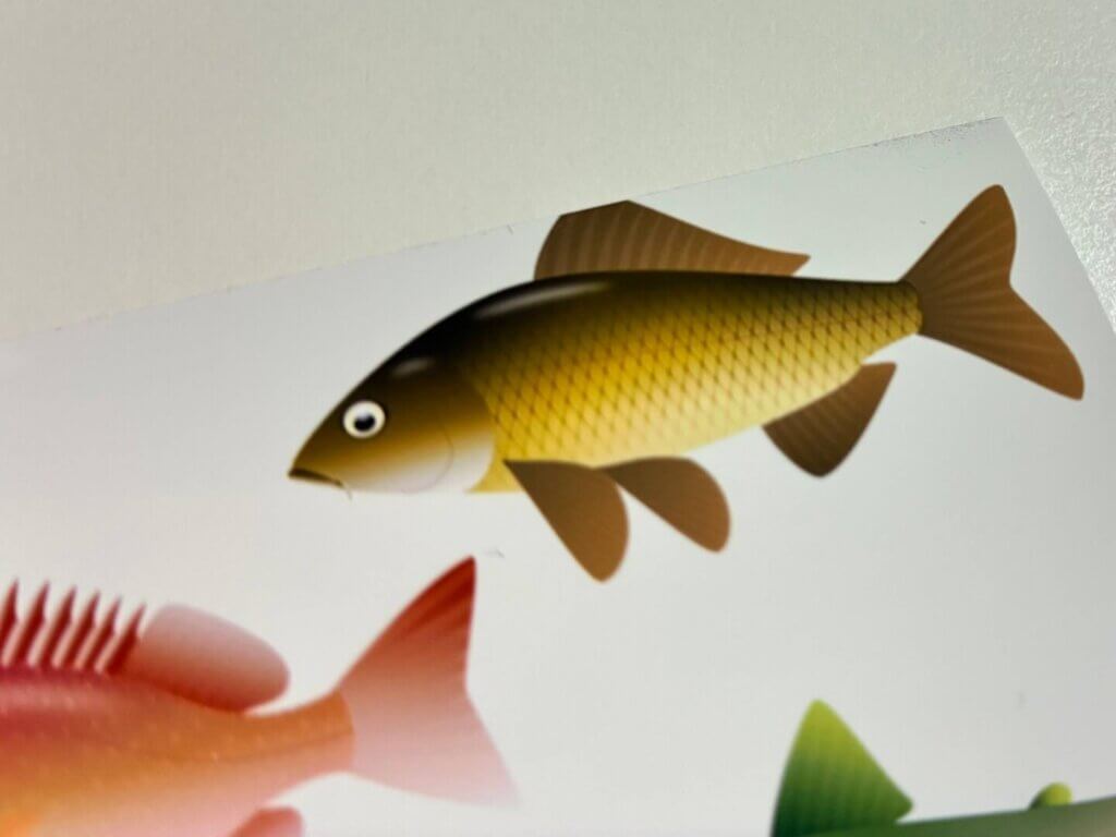 印刷設定のミスで端が切れてしまったイラスト